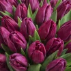 Венеция - букет из тюльпанов фиолетового цвета 2